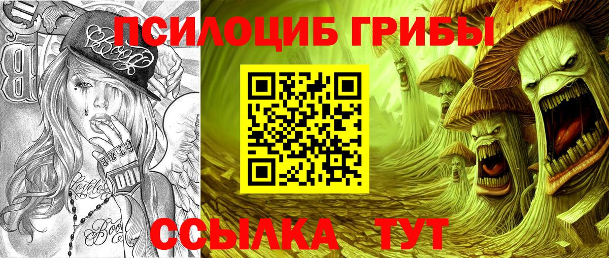Псилоцибиновые грибы GOLDEN TEACHER  Вход с VPN  Псилоцибиновые грибы ЛСД  Истра 